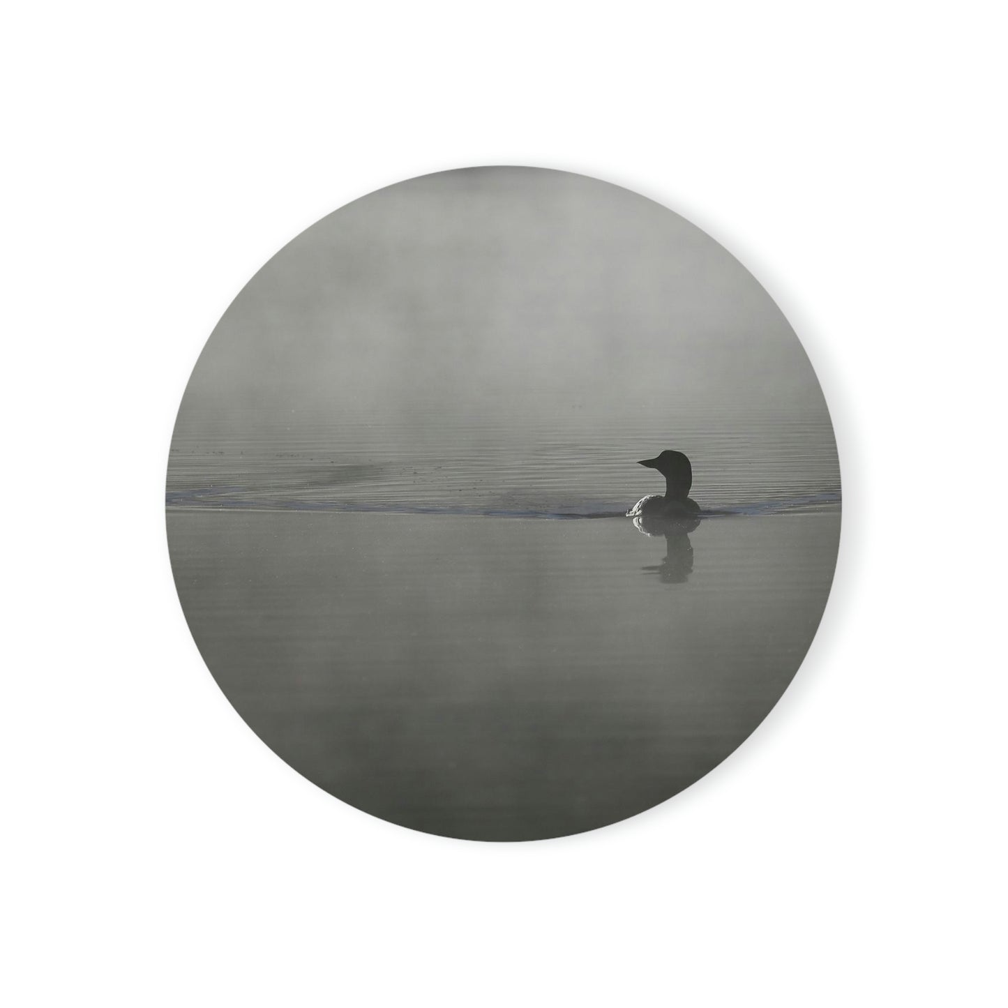Cork Back Coaster - Loon in the Mist