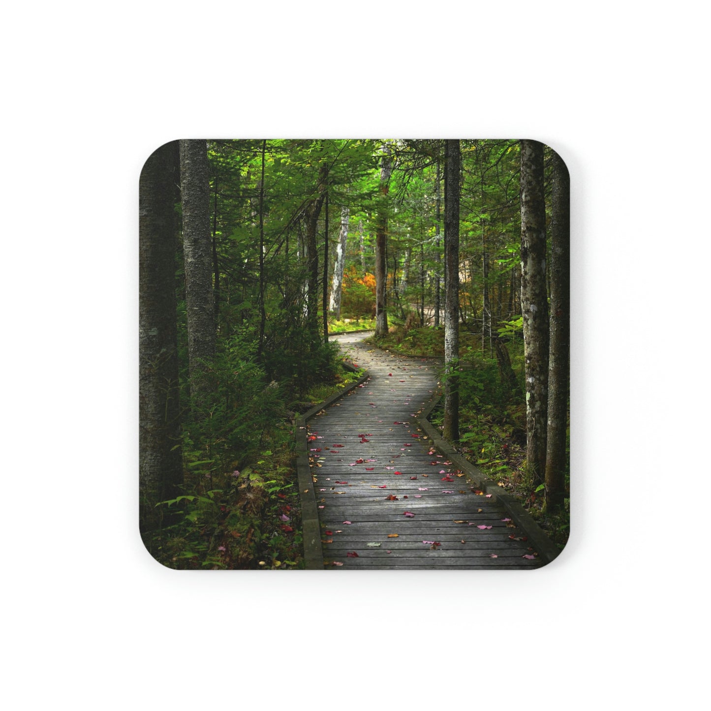 Cork Back Coaster - Woodland Boardwalk