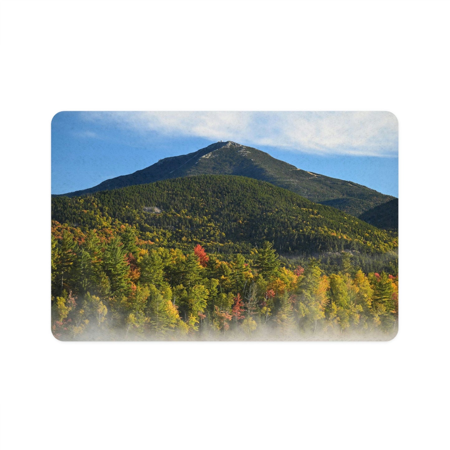 Pet Food Mat - Whiteface Autumn