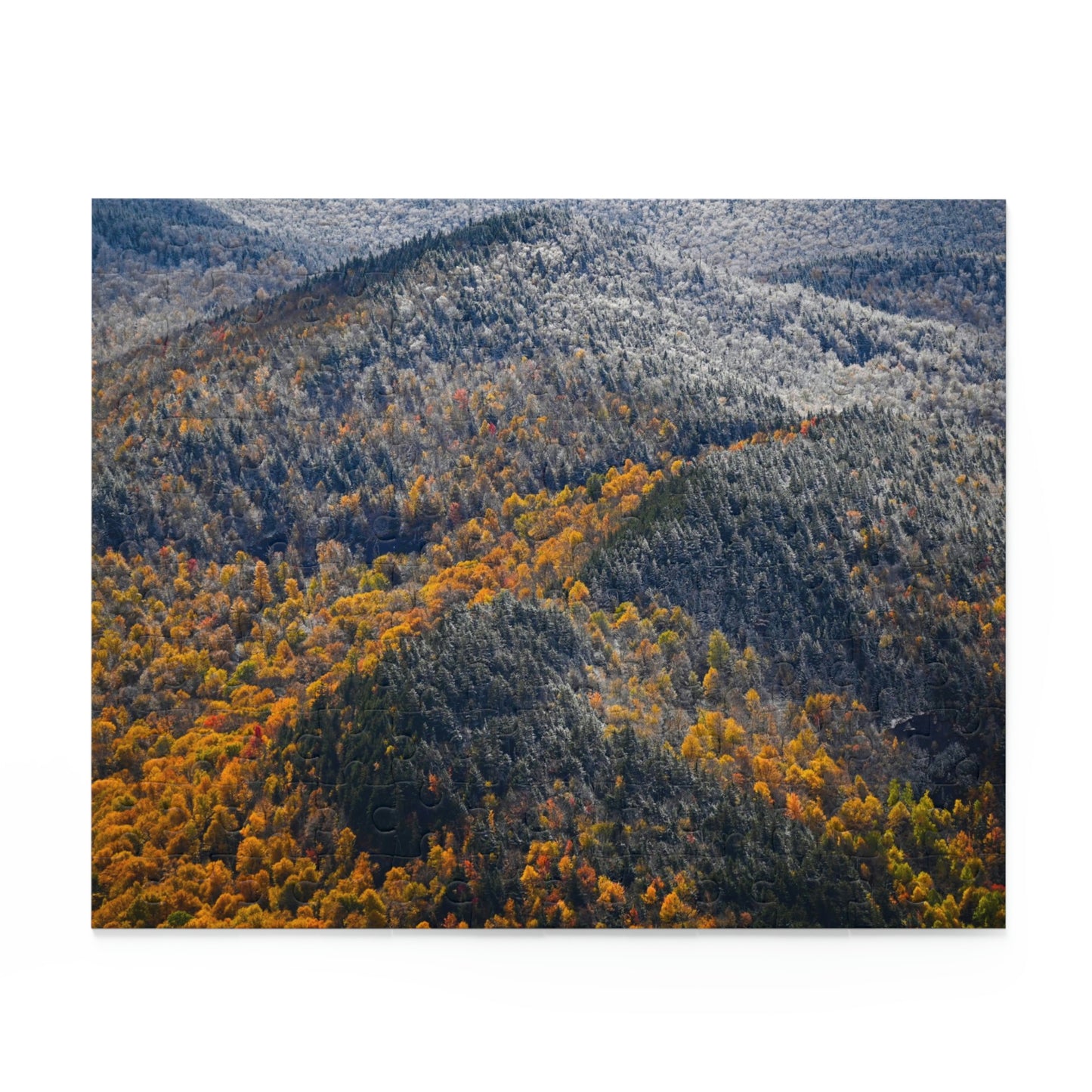 Puzzle - Seasons Collide