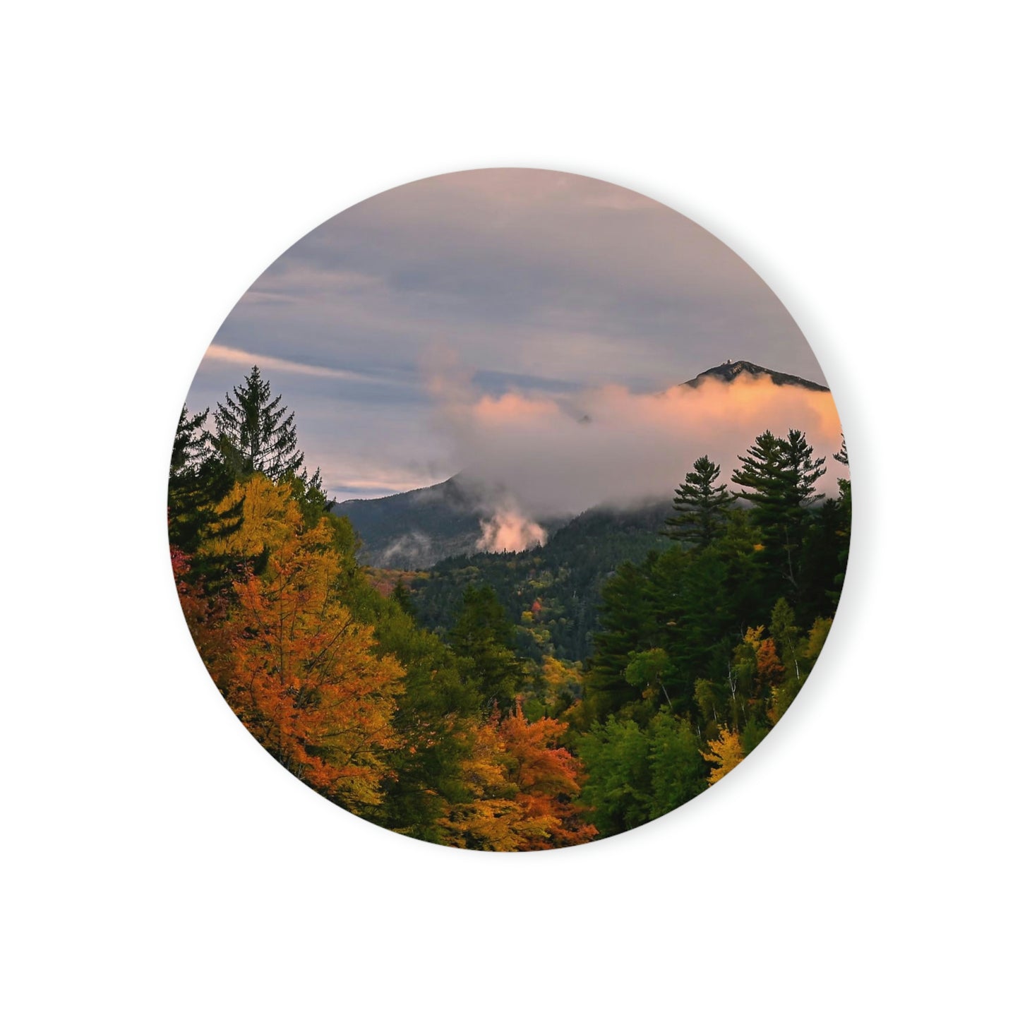 Cork Back Coaster - Autumn Morning from the Ausable River