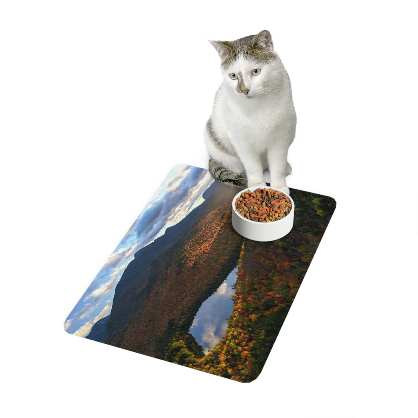 Pet Food Mat - Heart Lake Sun Rays
