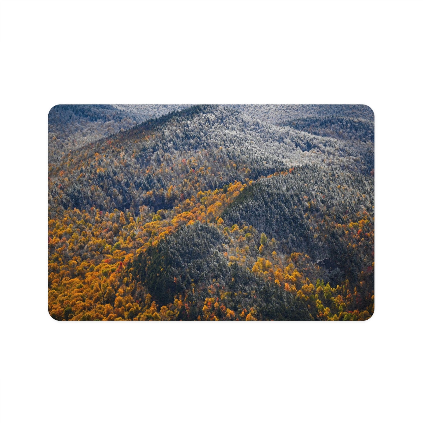 Pet Food Mat - Seasons Collide