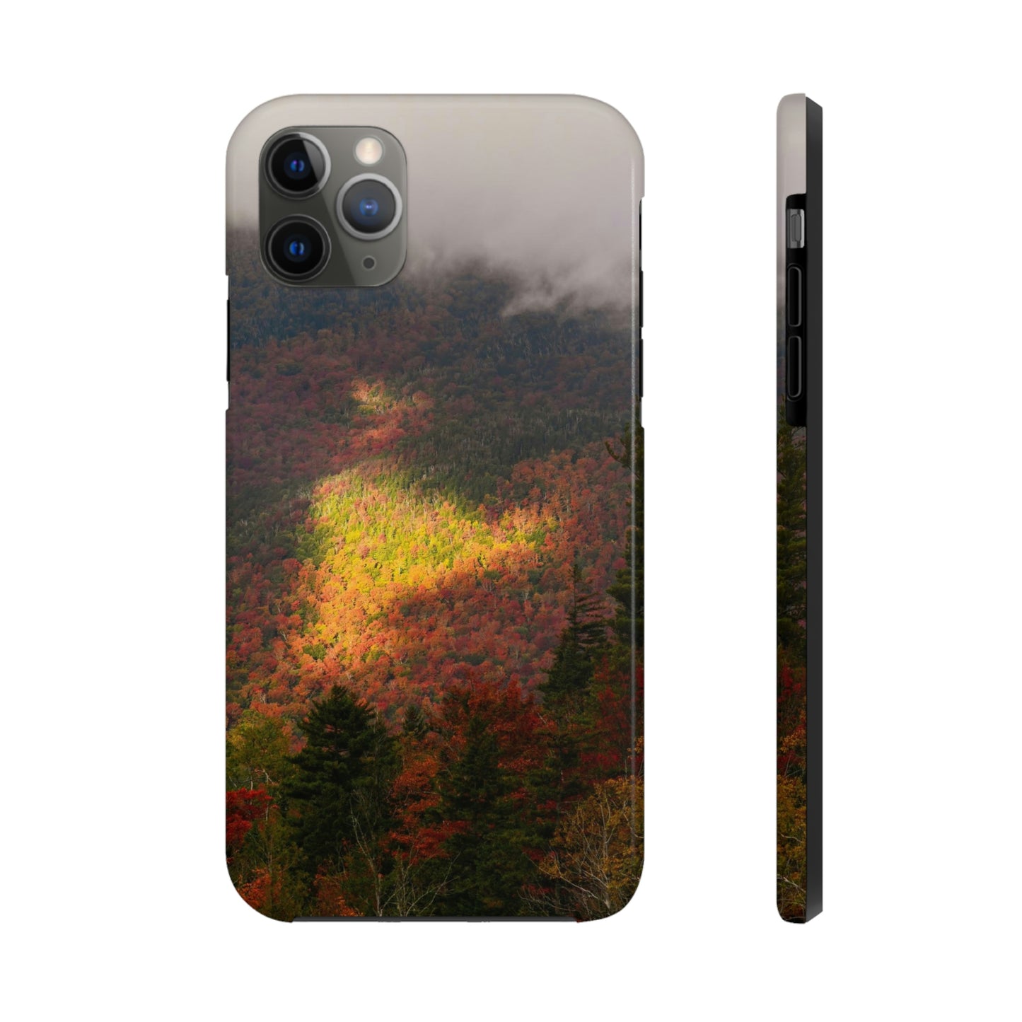 Impact Resistant Phone Case - Adirondack Fall Fog & Foliage