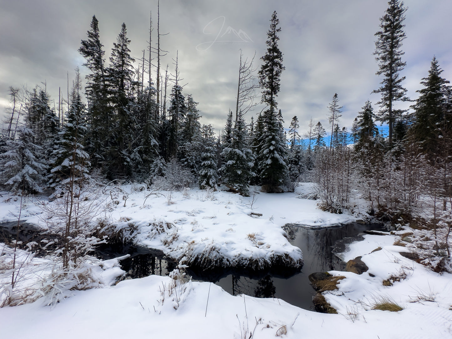 Print of a winter adirondack brook
