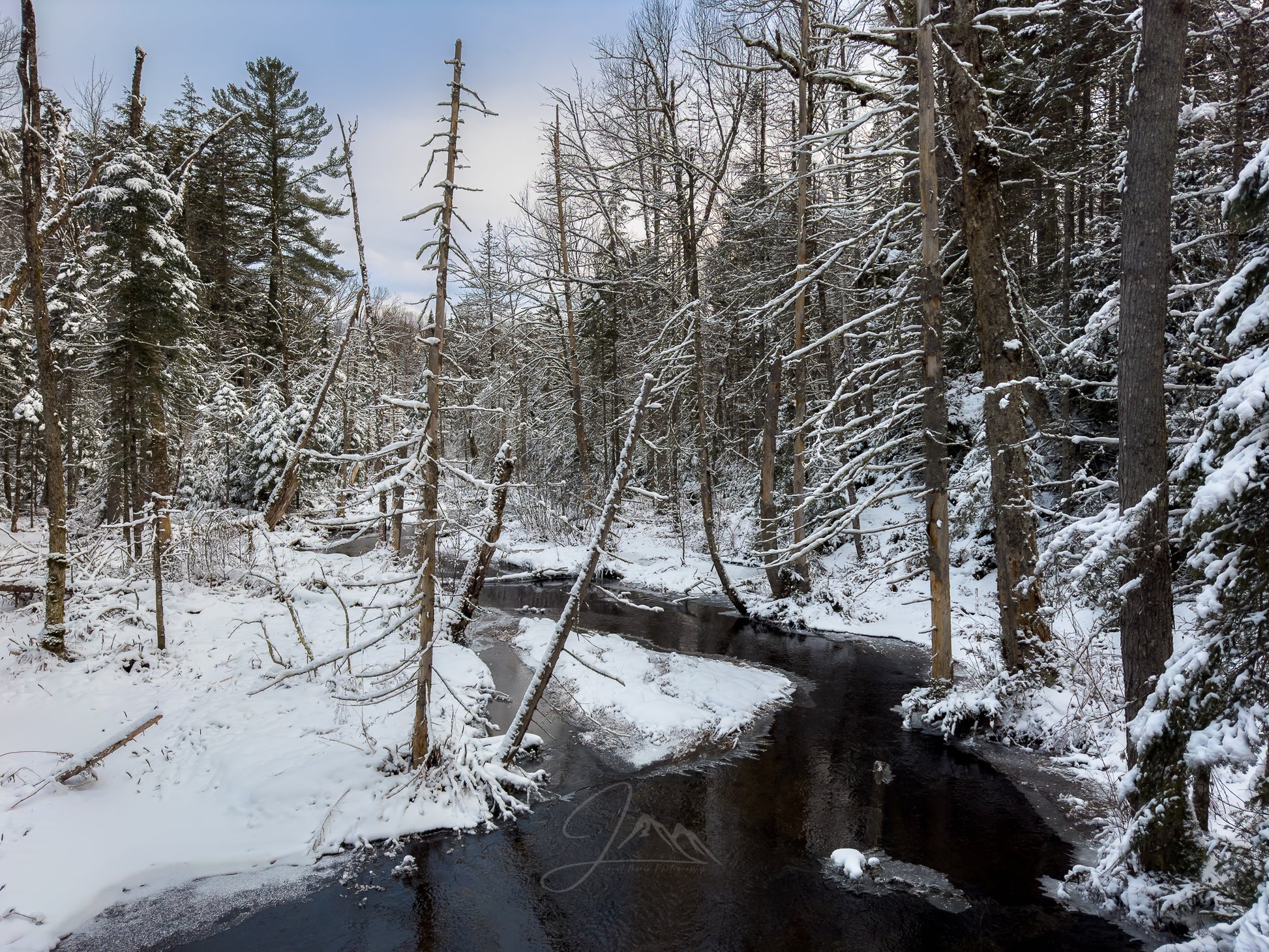 Backcountry Brook - Lake Placid NY