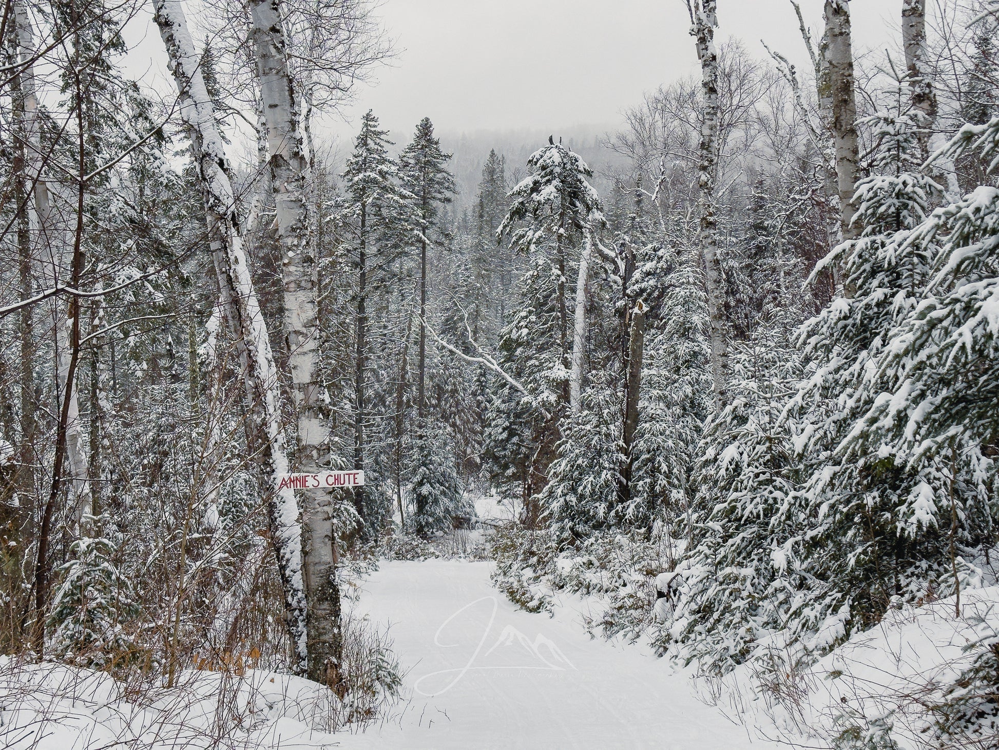 Annie's Chute - Cascade Ski Center