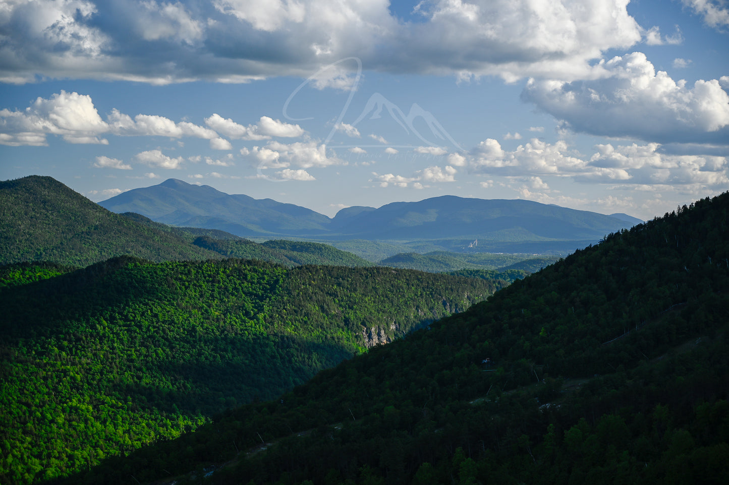 print of Lake Placid from Bear Den Mountain