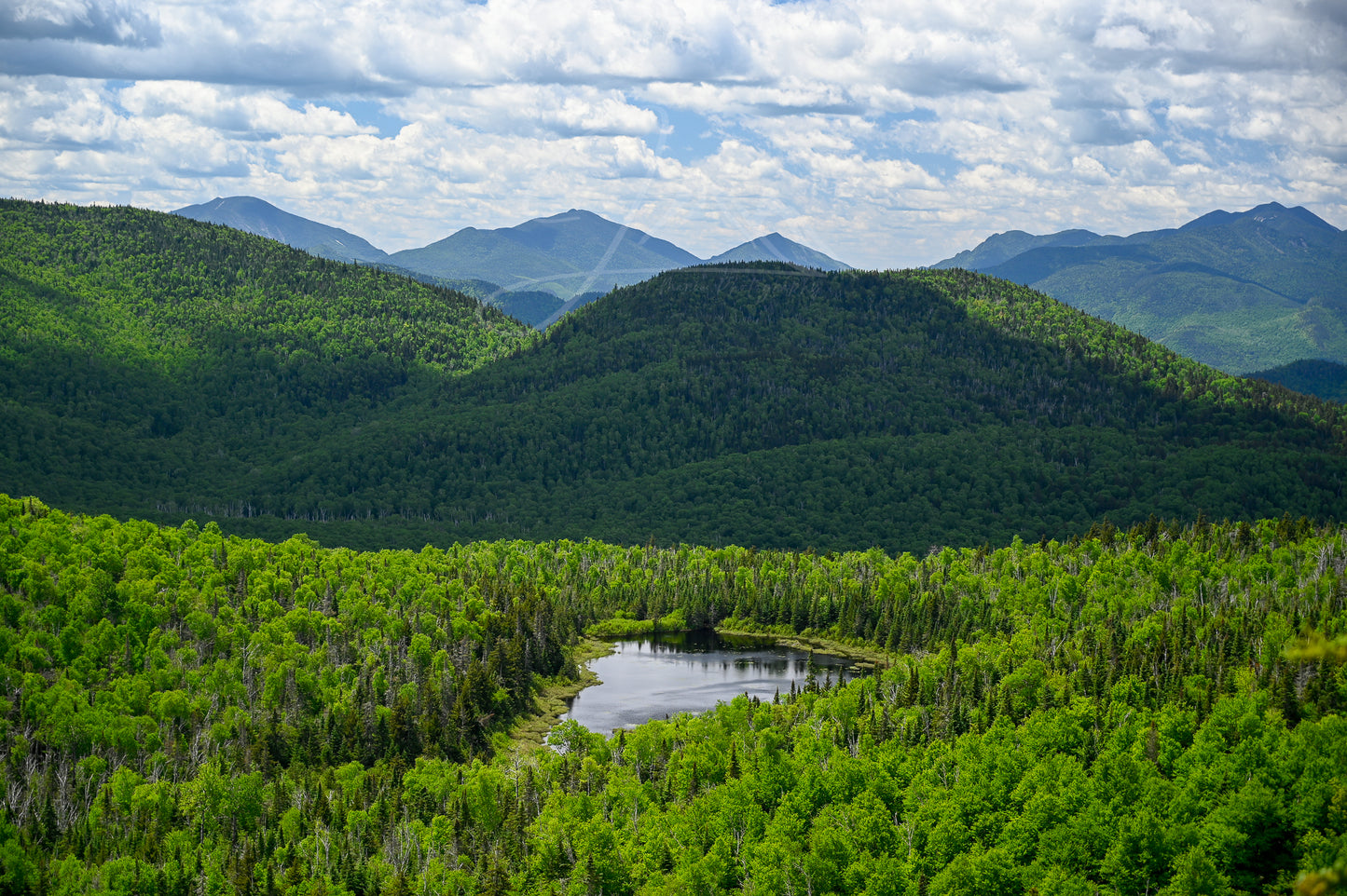 print of a pond in the Adirondack Mountains