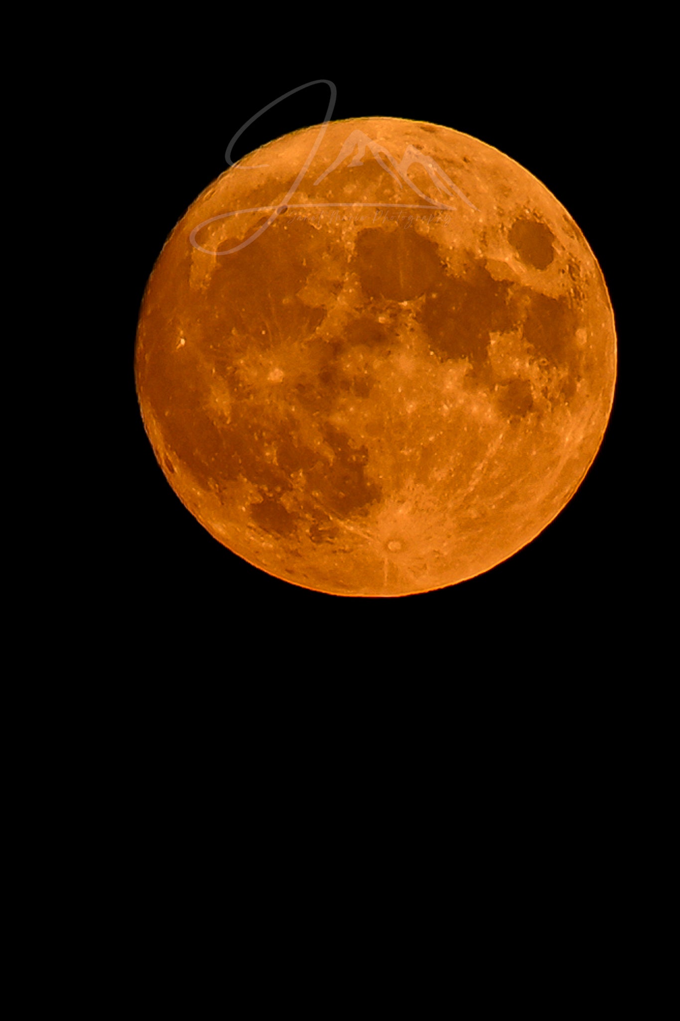 print of a harvest moon
