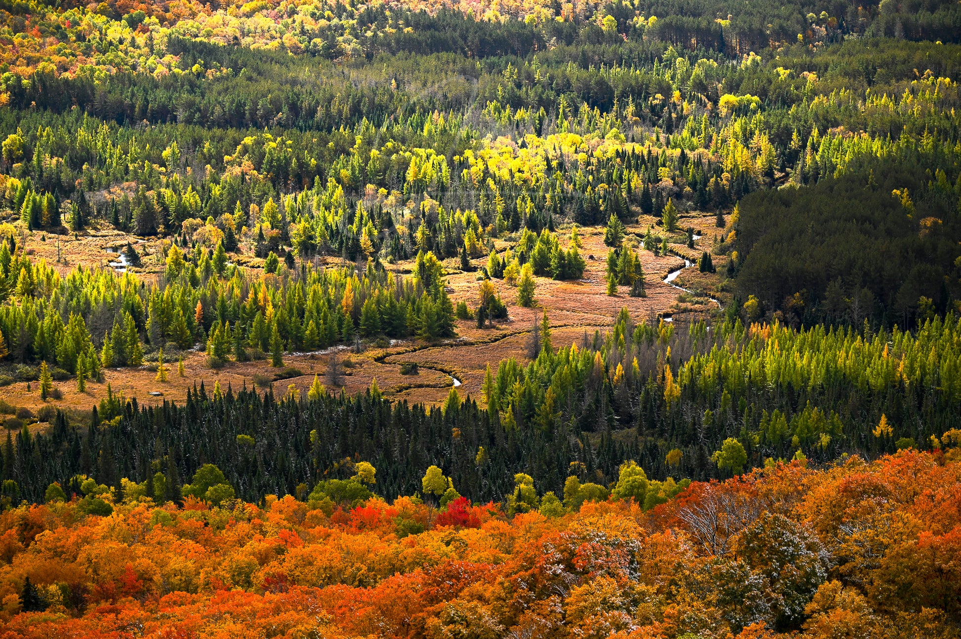 River Meanders through an Autumn Meadow in the Adirondack Mountains