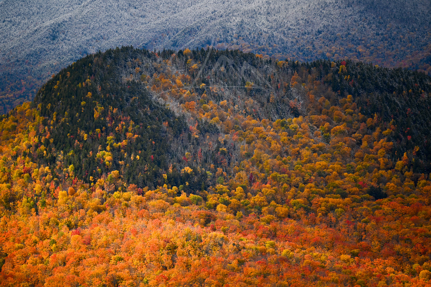 print of Freshly Fallen Snow and Fall Foliage