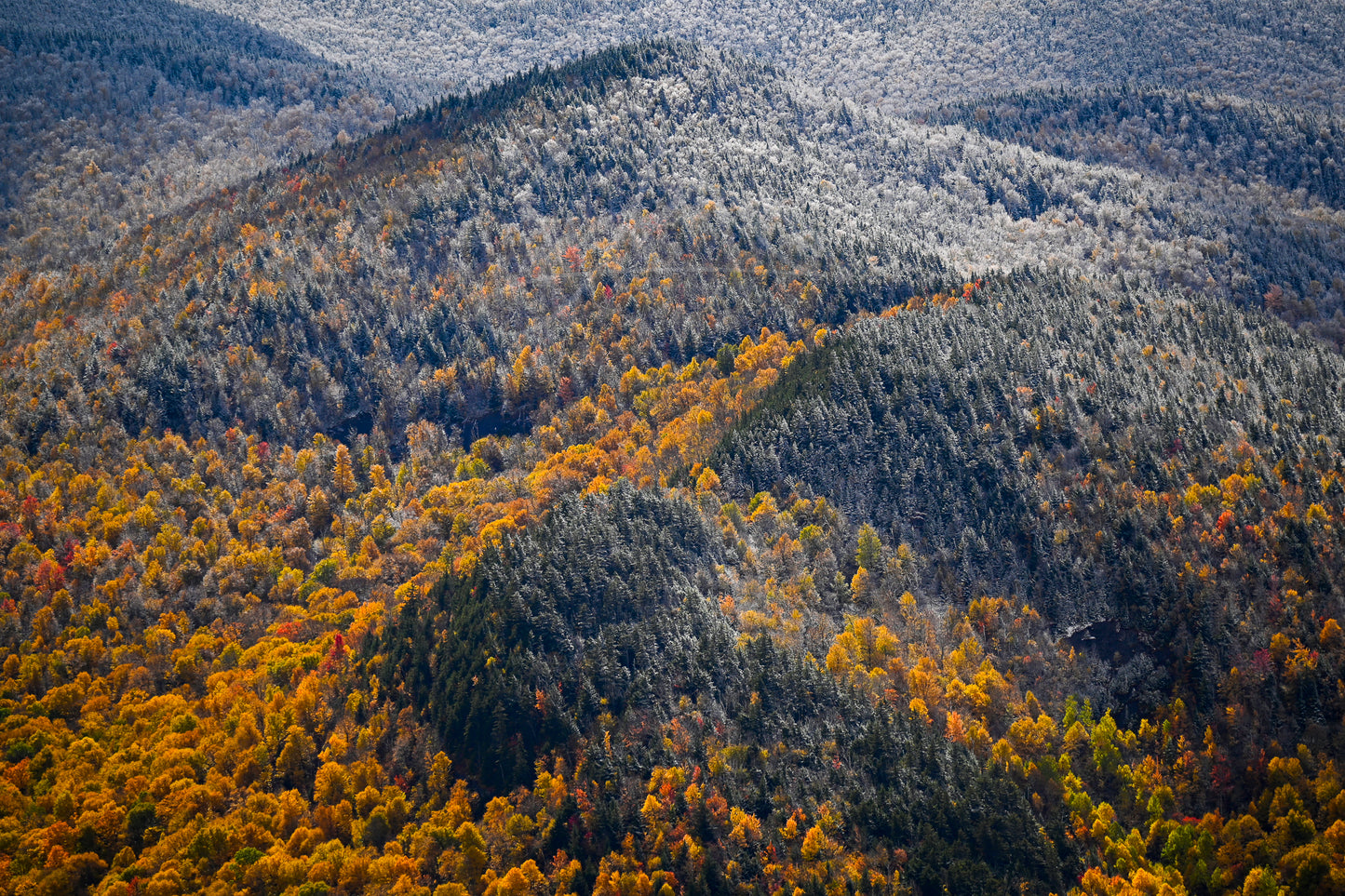 print of snow and foliage Adirondack Mountains