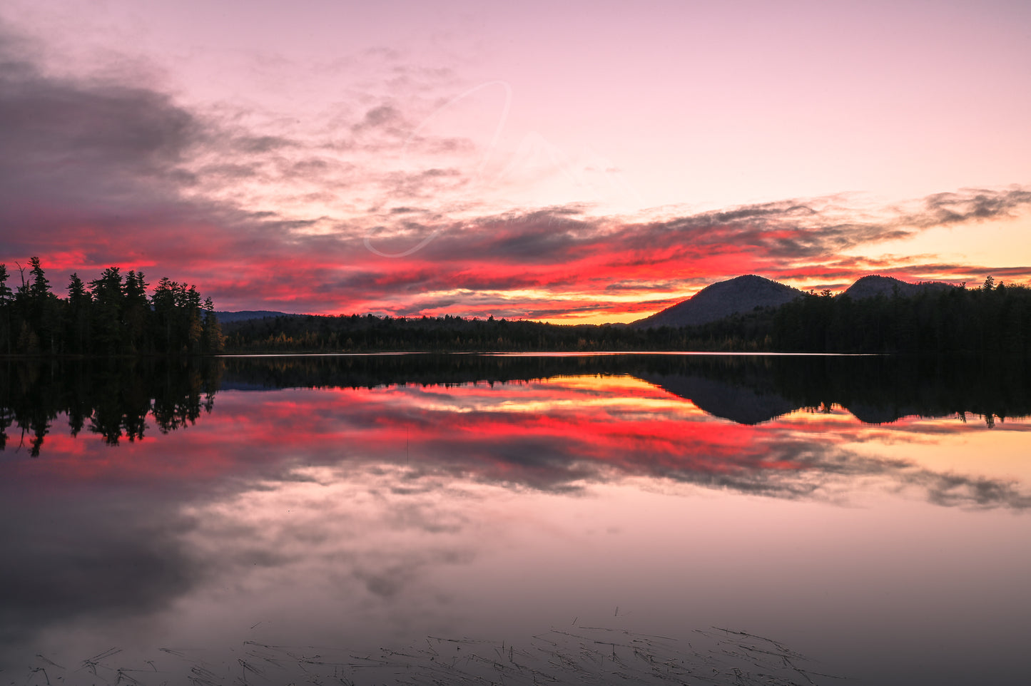 print of sunrise reflections on a pond