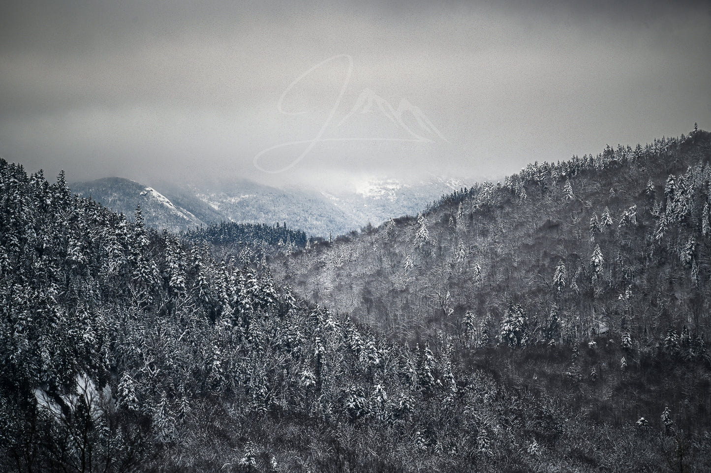 Winter Gray - Adirondacks
