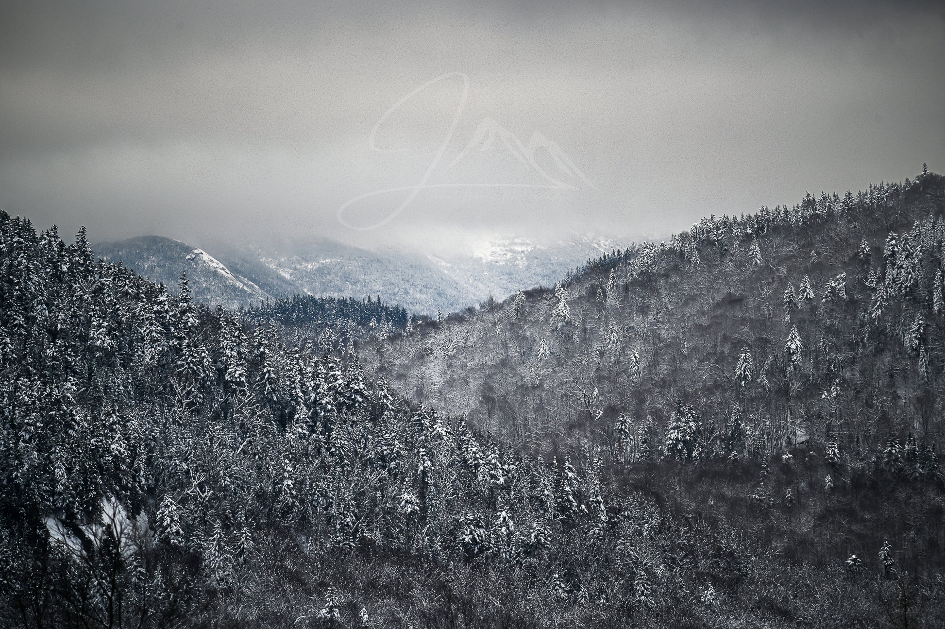 Winter Gray - Adirondacks