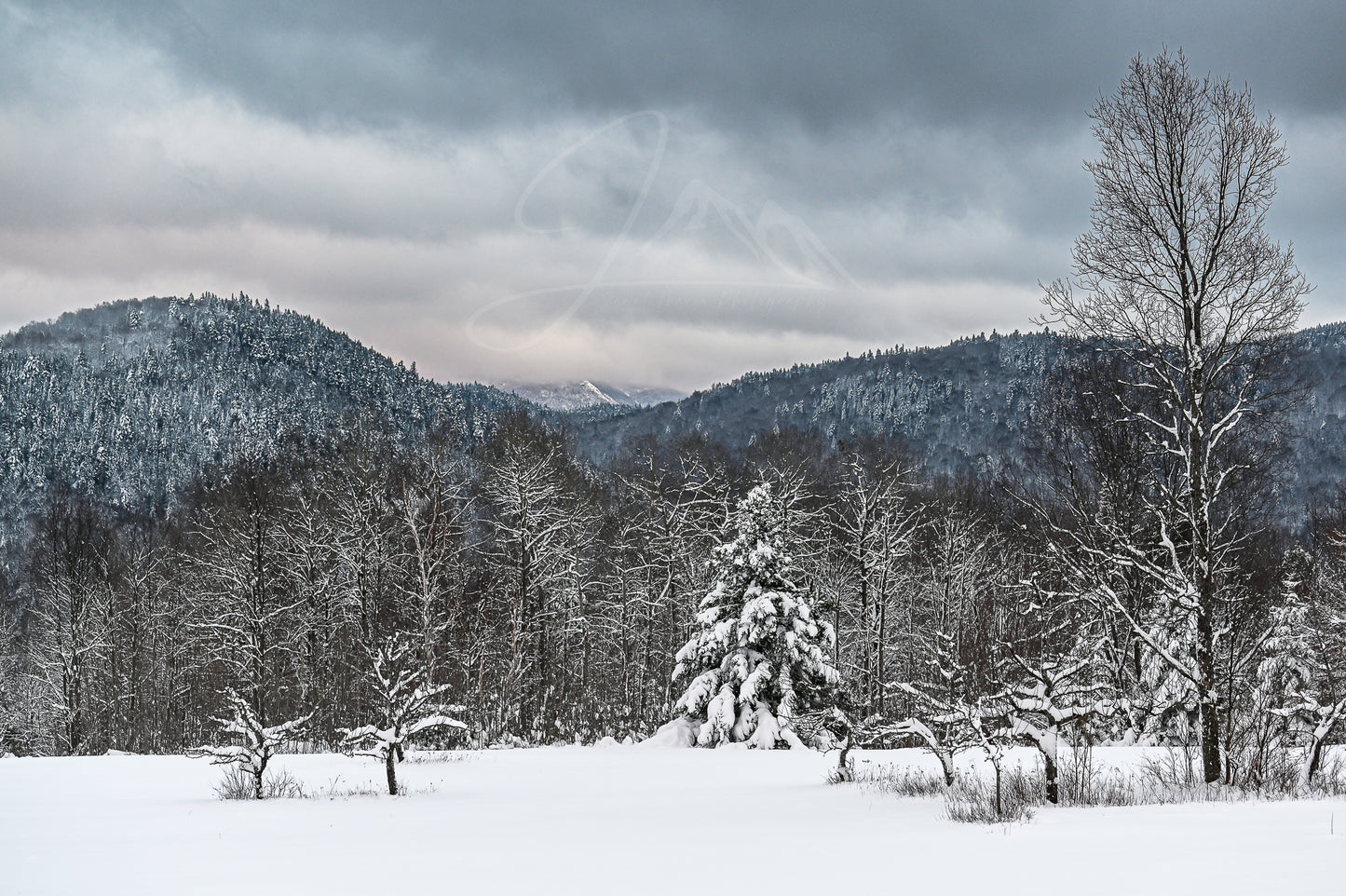 A Winter's Day - Lake Placid, NY