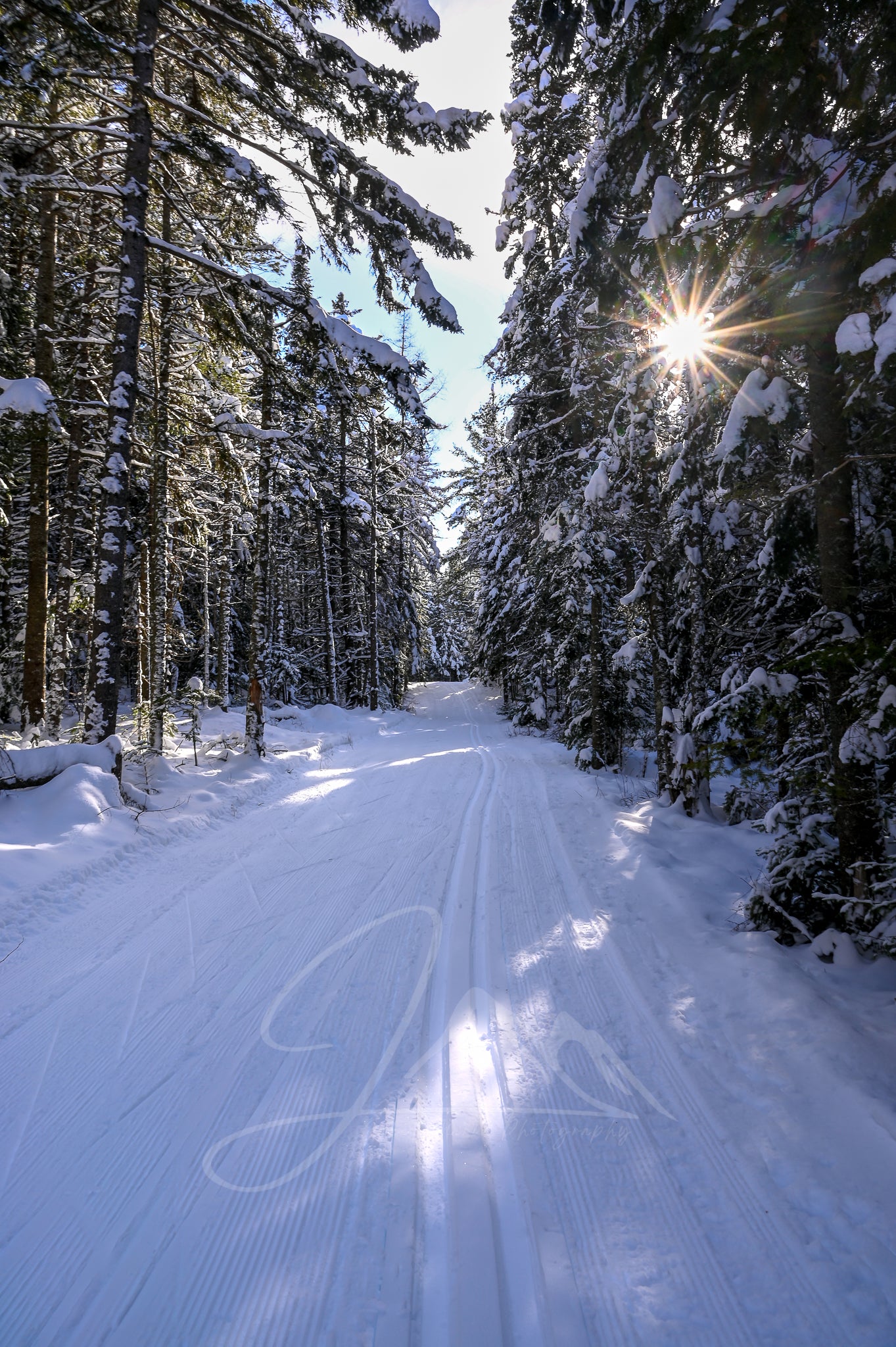 print of Ski Tracks in the Adirondacks