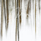 print of an abstract winter forest 