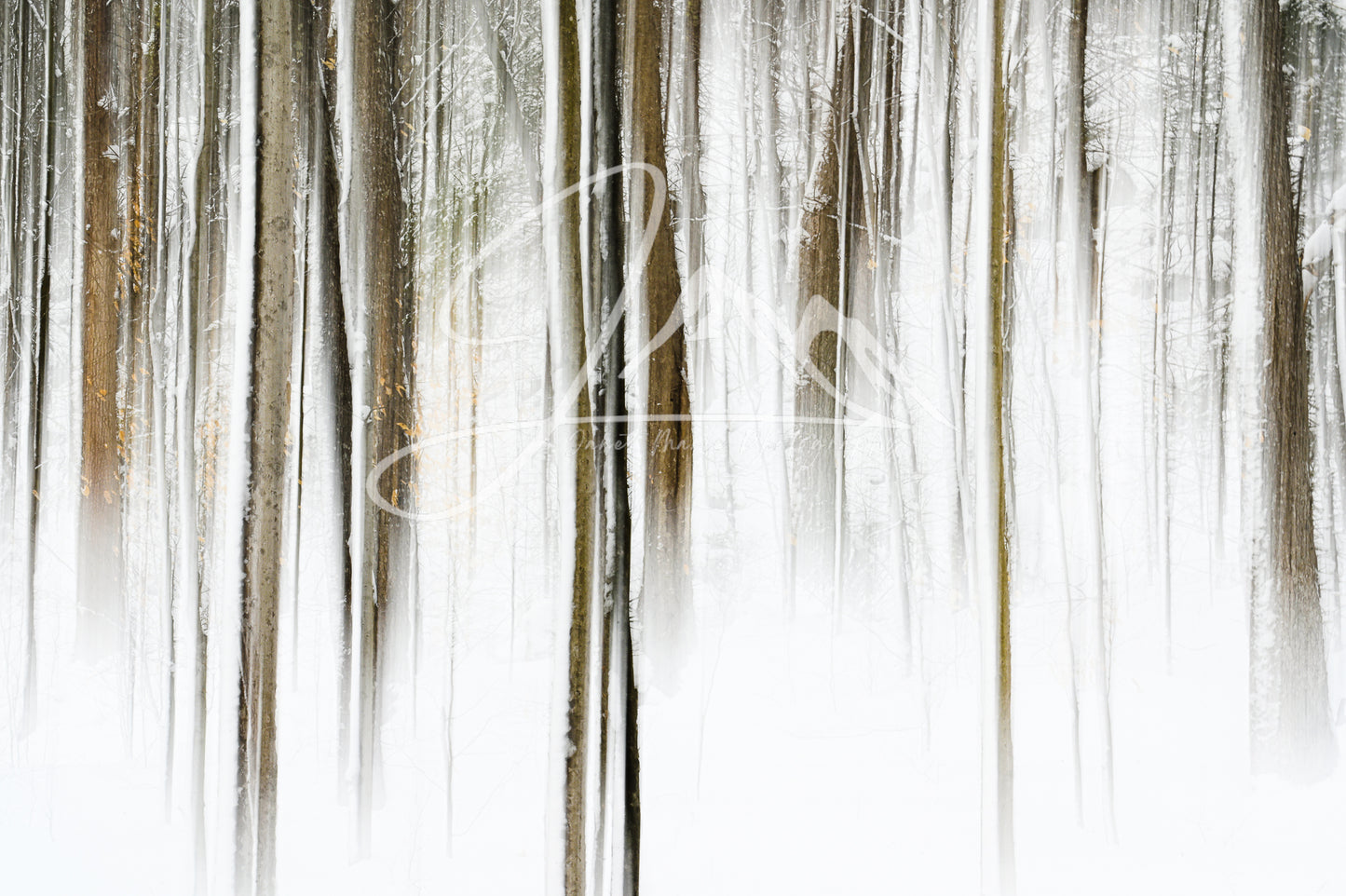 print of an abstract winter forest