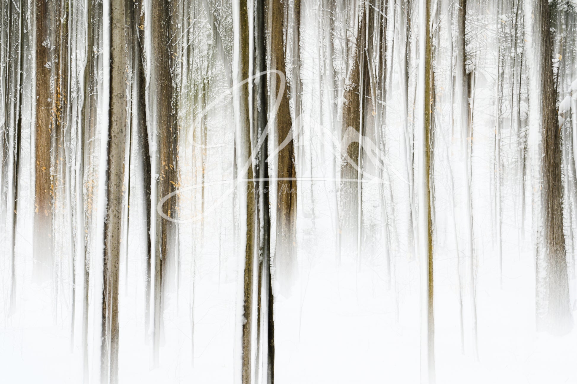 print of an abstract winter forest