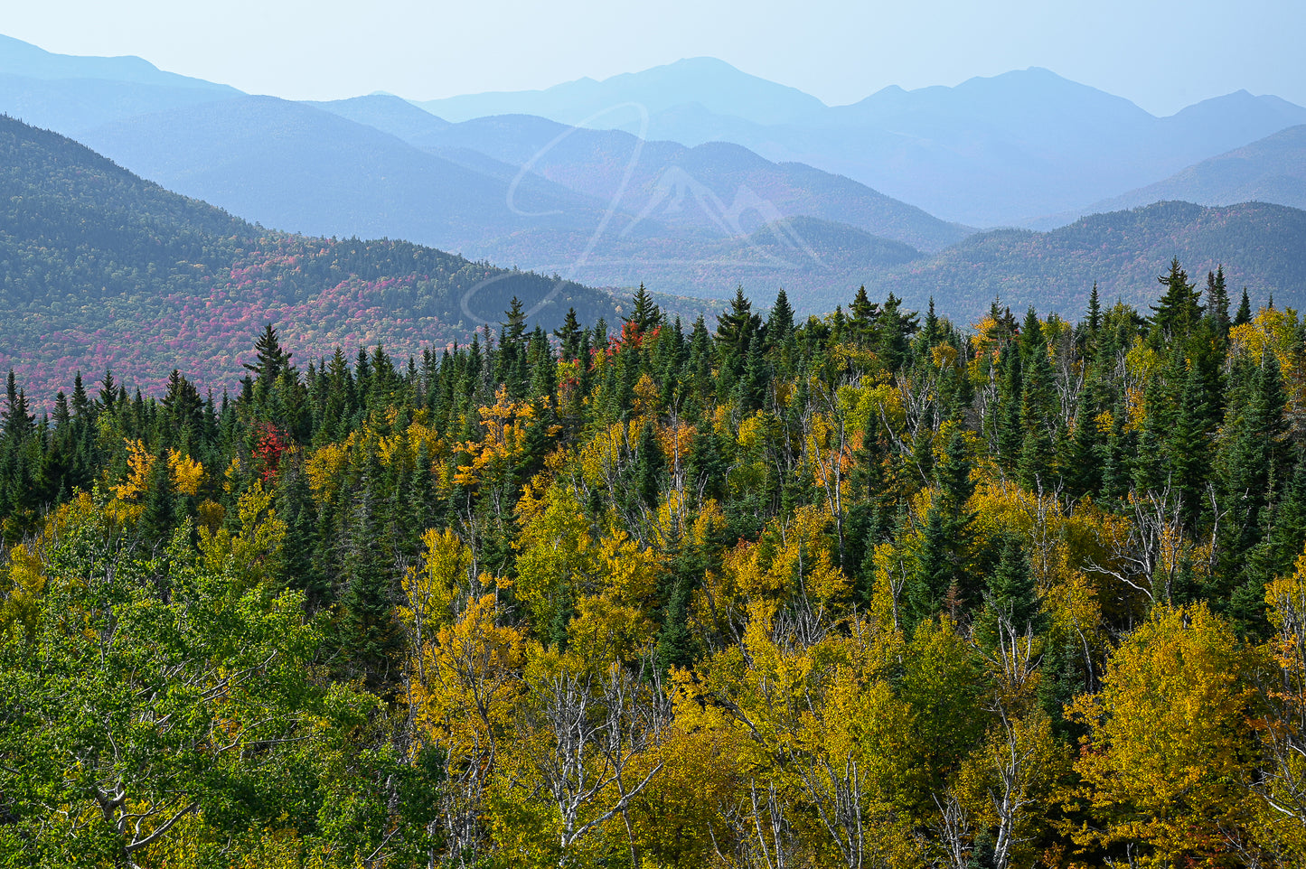 print of mountain layers and foliage Adirondack Mountains