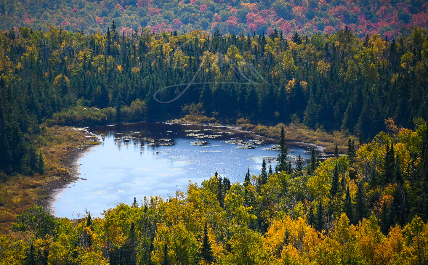 print of a backcountry pond