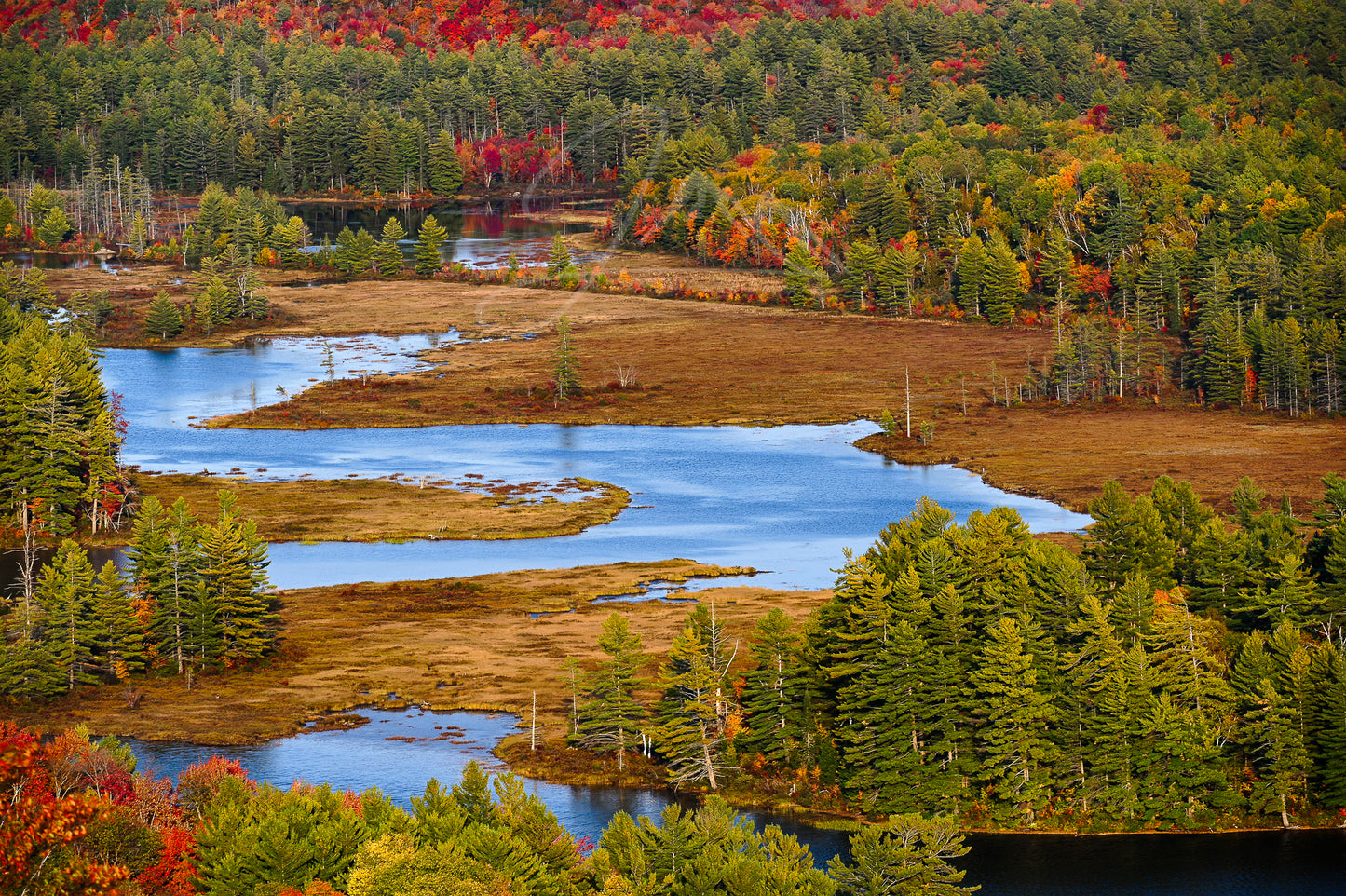 print of a river meandering through an Adirondack backcountry meadow