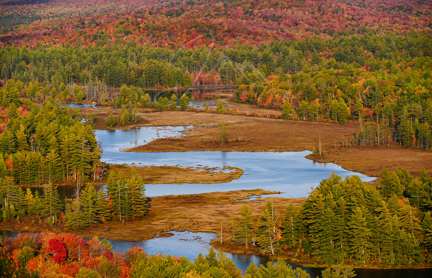 Autumn Over the Bog River Adirondack Mountains