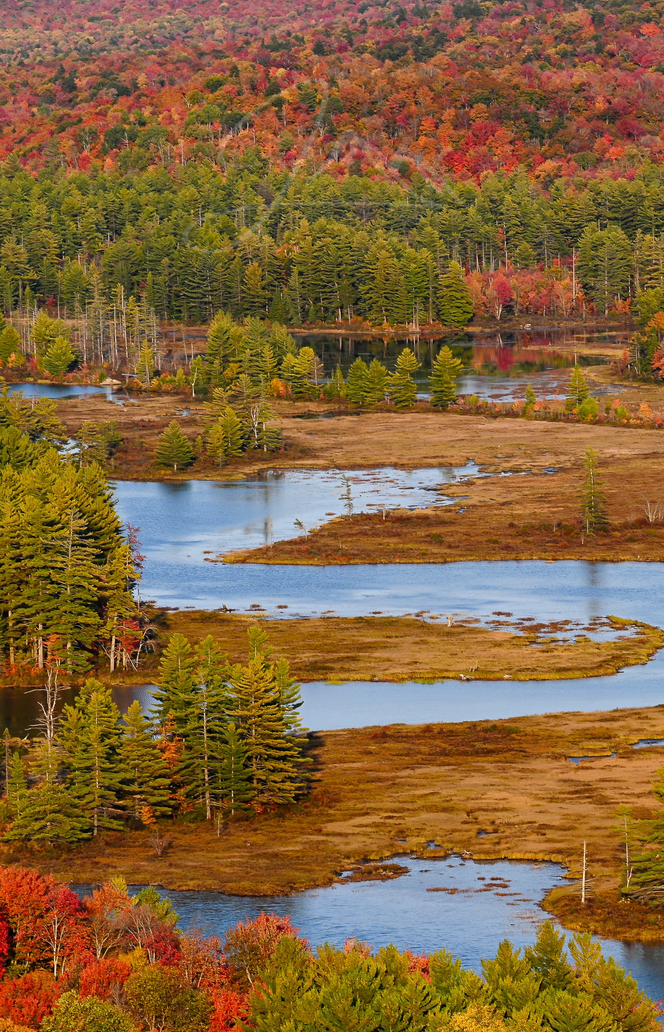 Autumn Over the Bog River Adirondack Mountains