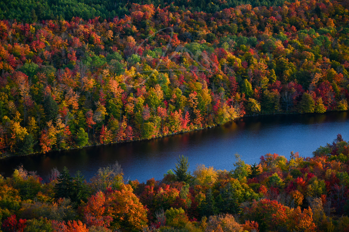 print of Fall Colors in the Adirondacks