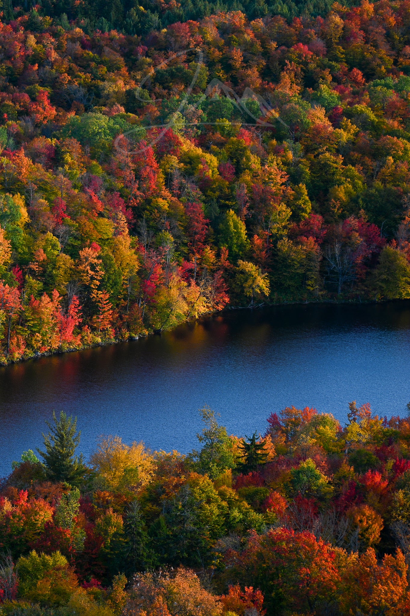 print of Fall Colors in the Adirondacks