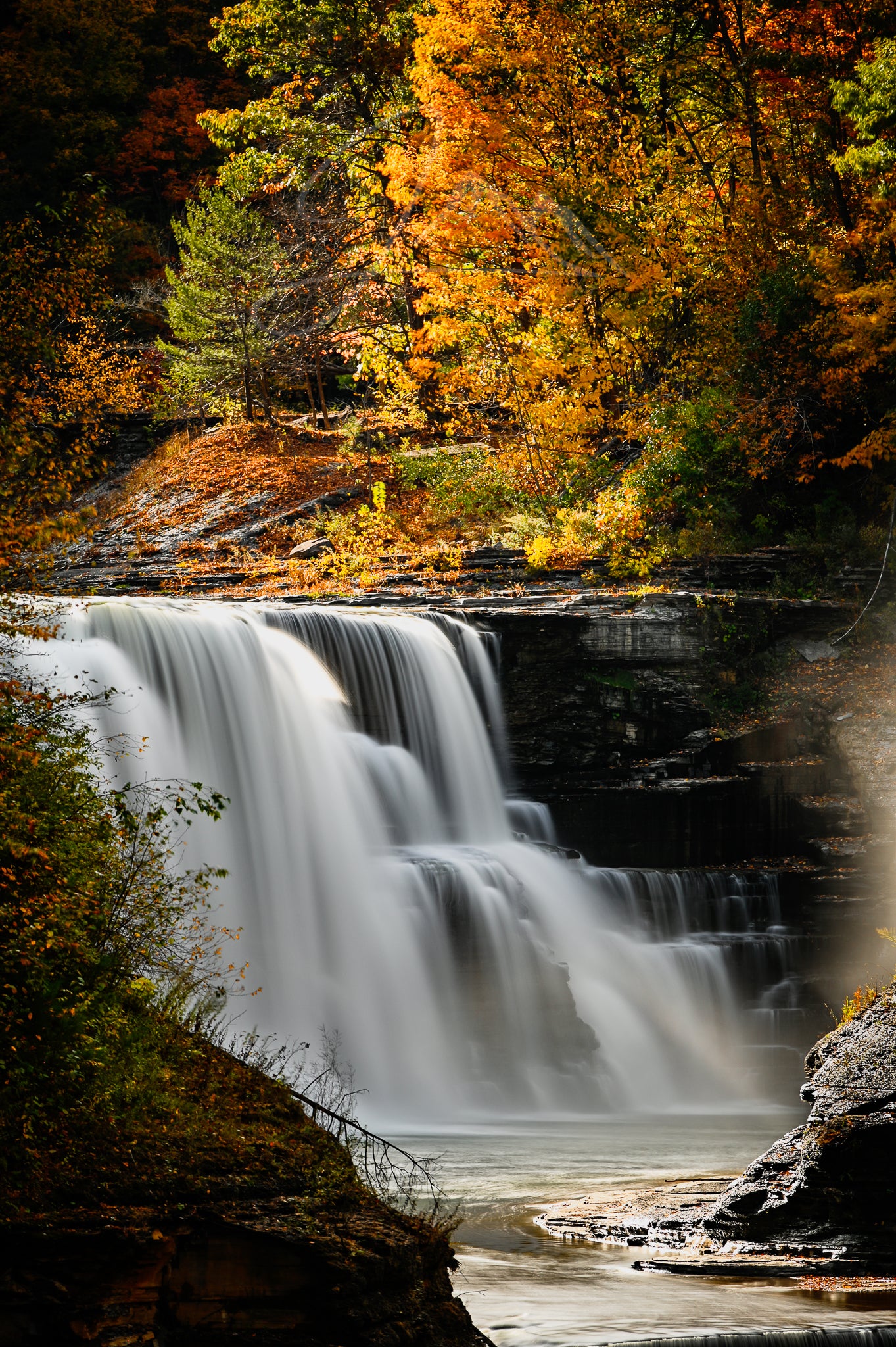 print of Lower Falls at Letchworth State Park