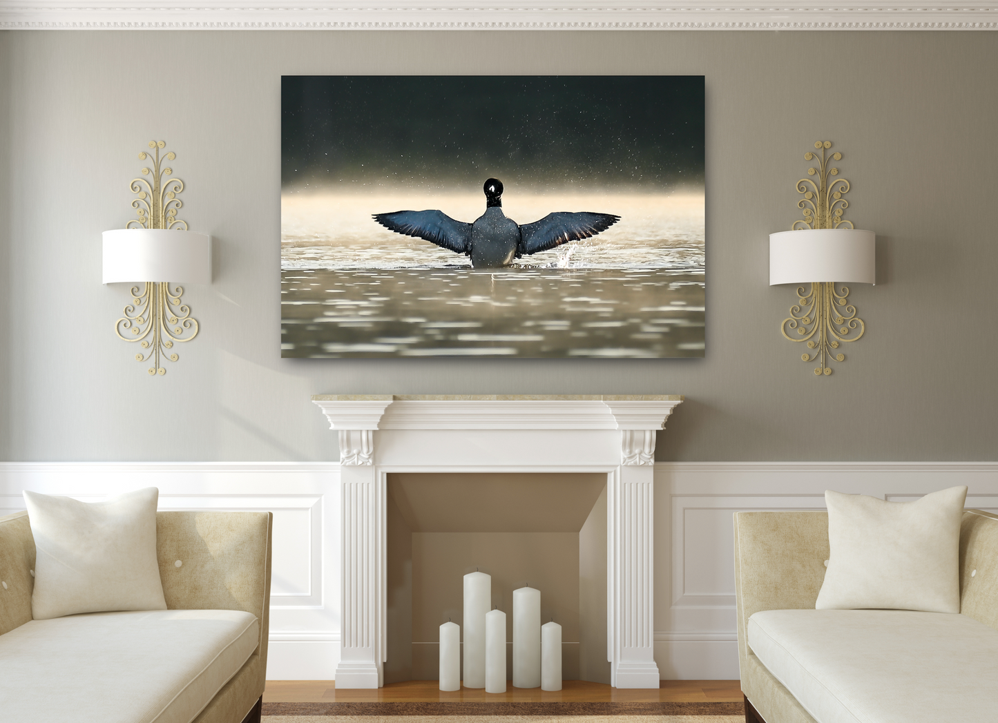 print of a Common Loon Wingspread