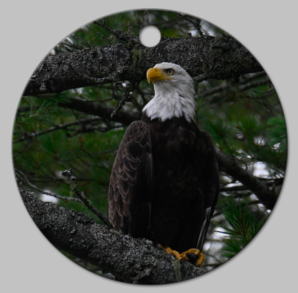 Metal Ornaments