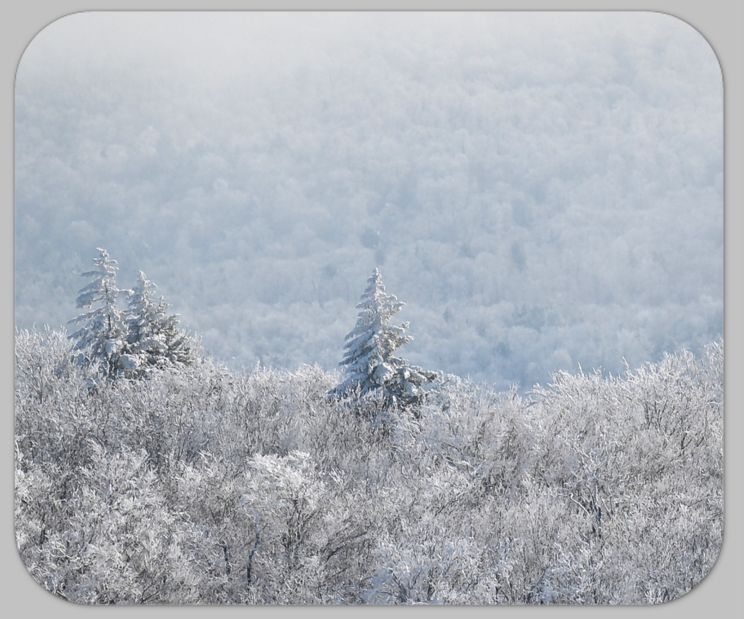 Photo Mouse Pad