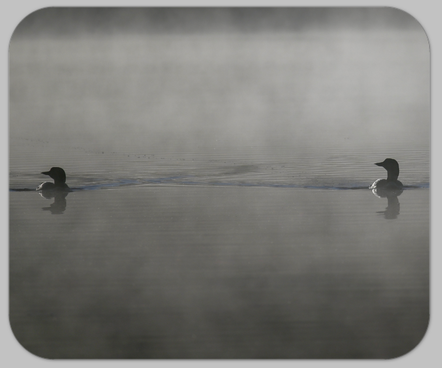 Photo Mouse Pad
