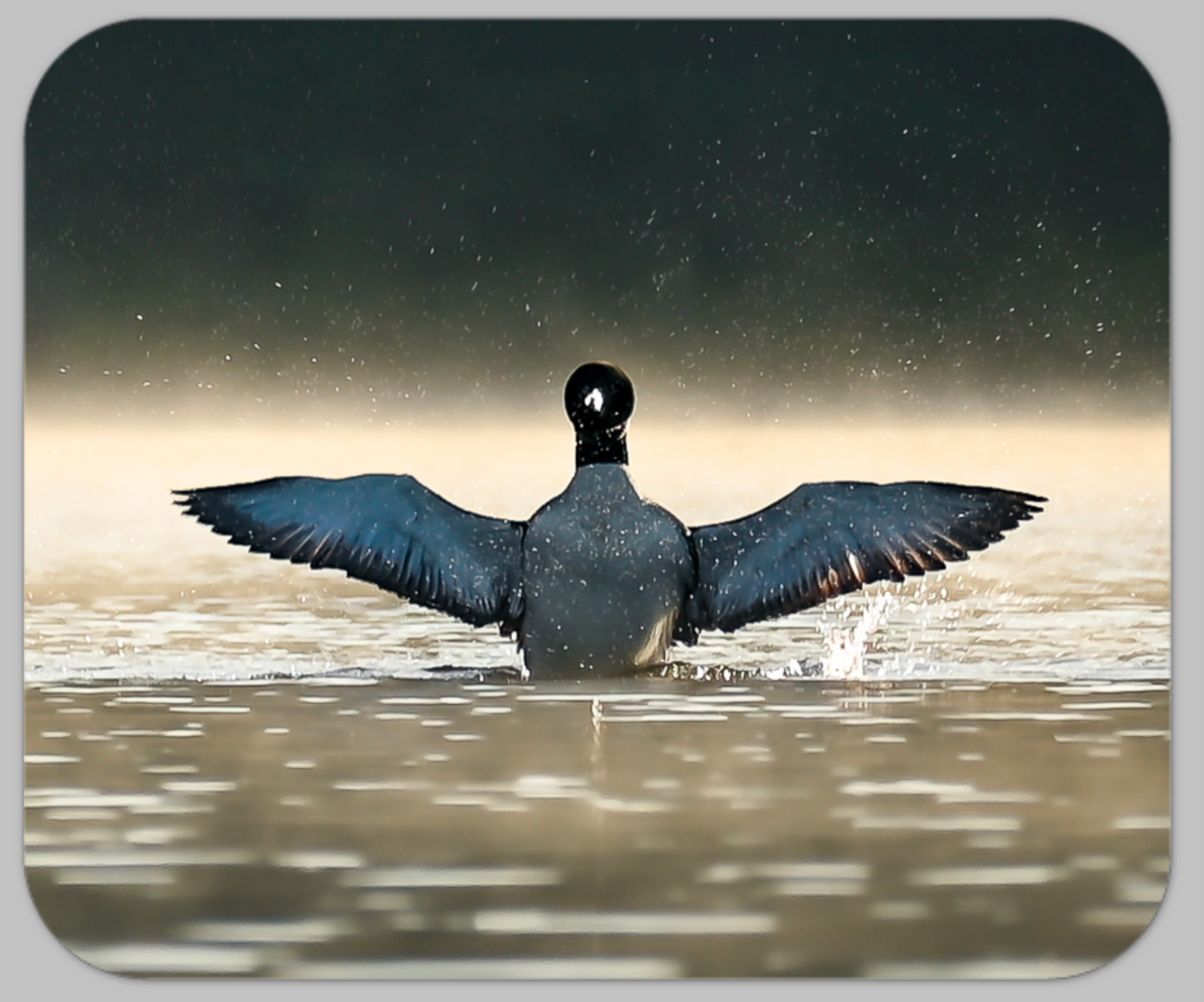 Photo Mouse Pad