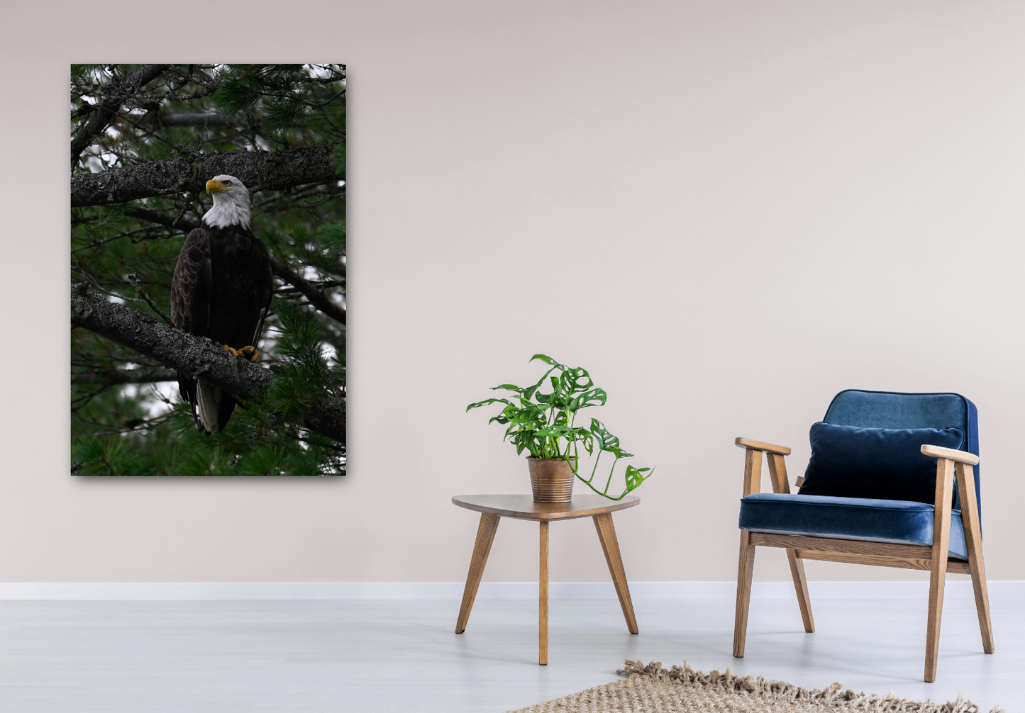 American Eagle print