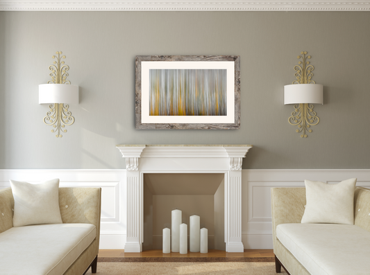 Abstract Autumn image of birch and tamarack trees in an adirondack forest