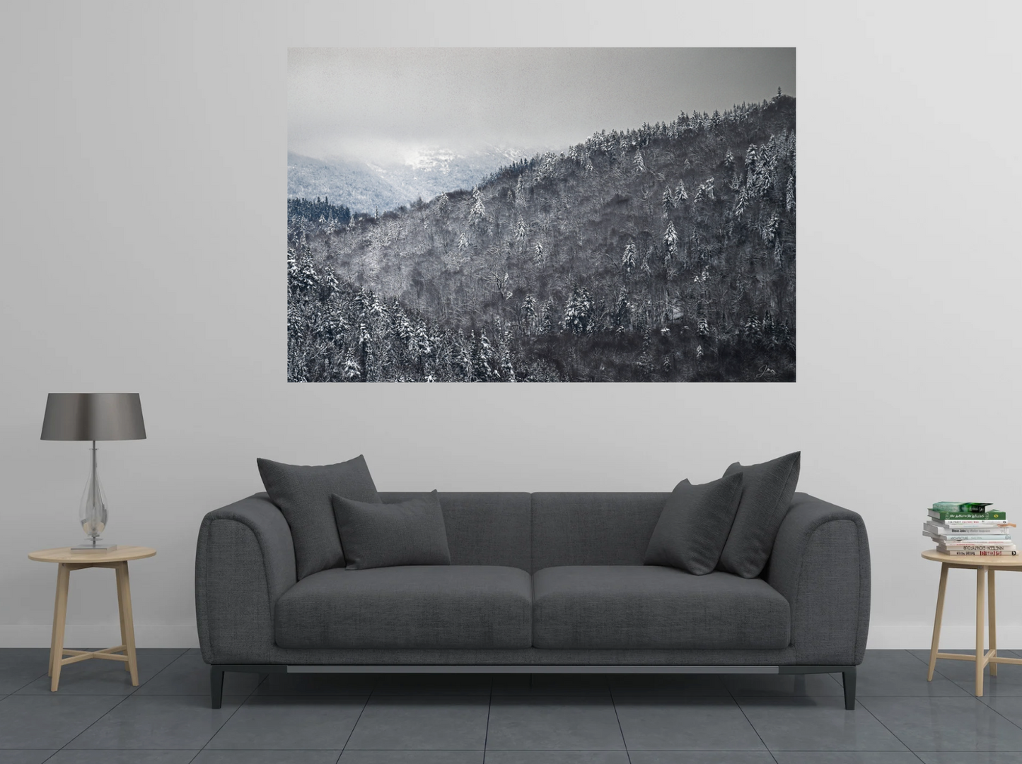 Winter Gray - Adirondacks