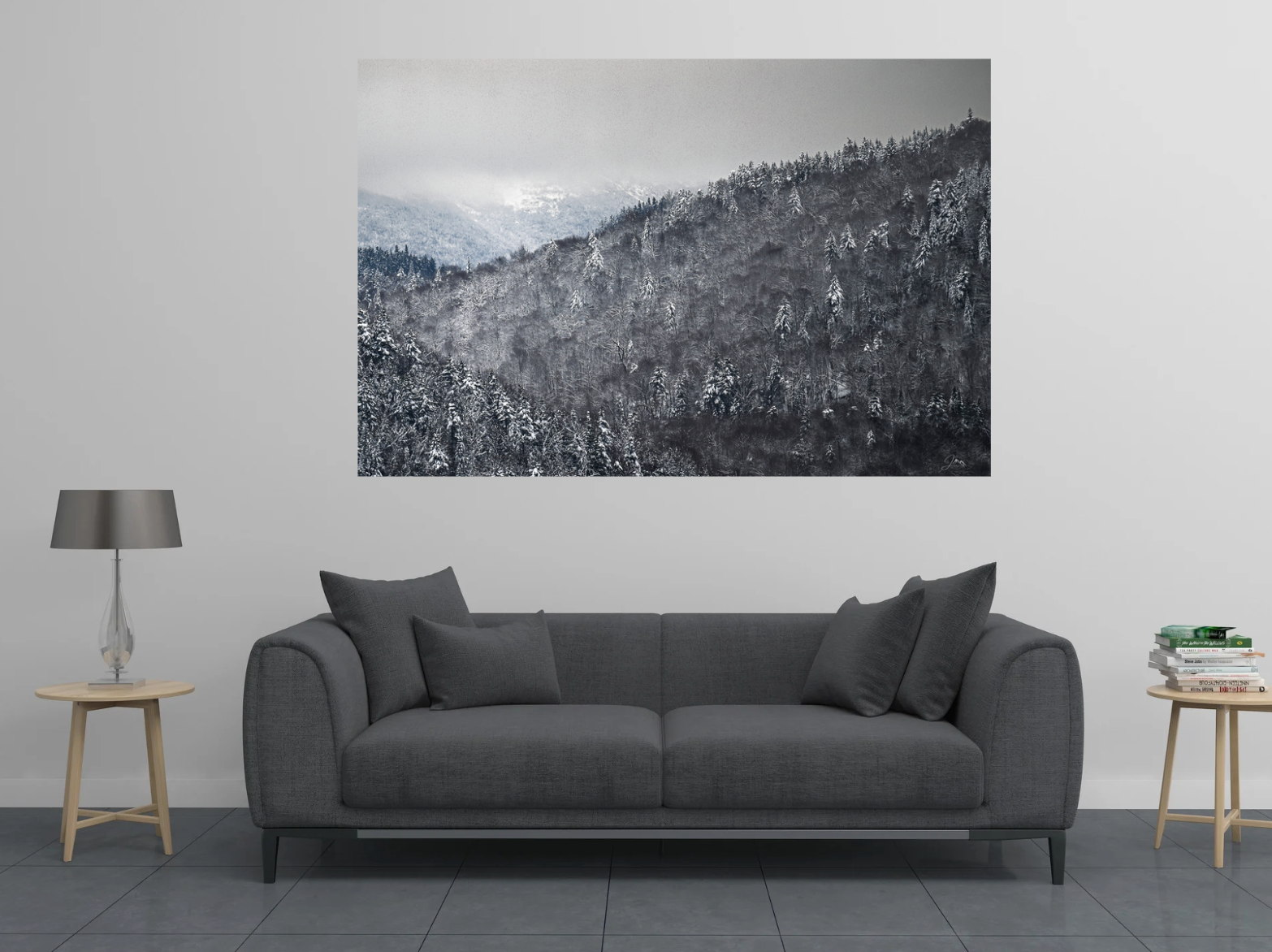 Winter Gray - Adirondacks