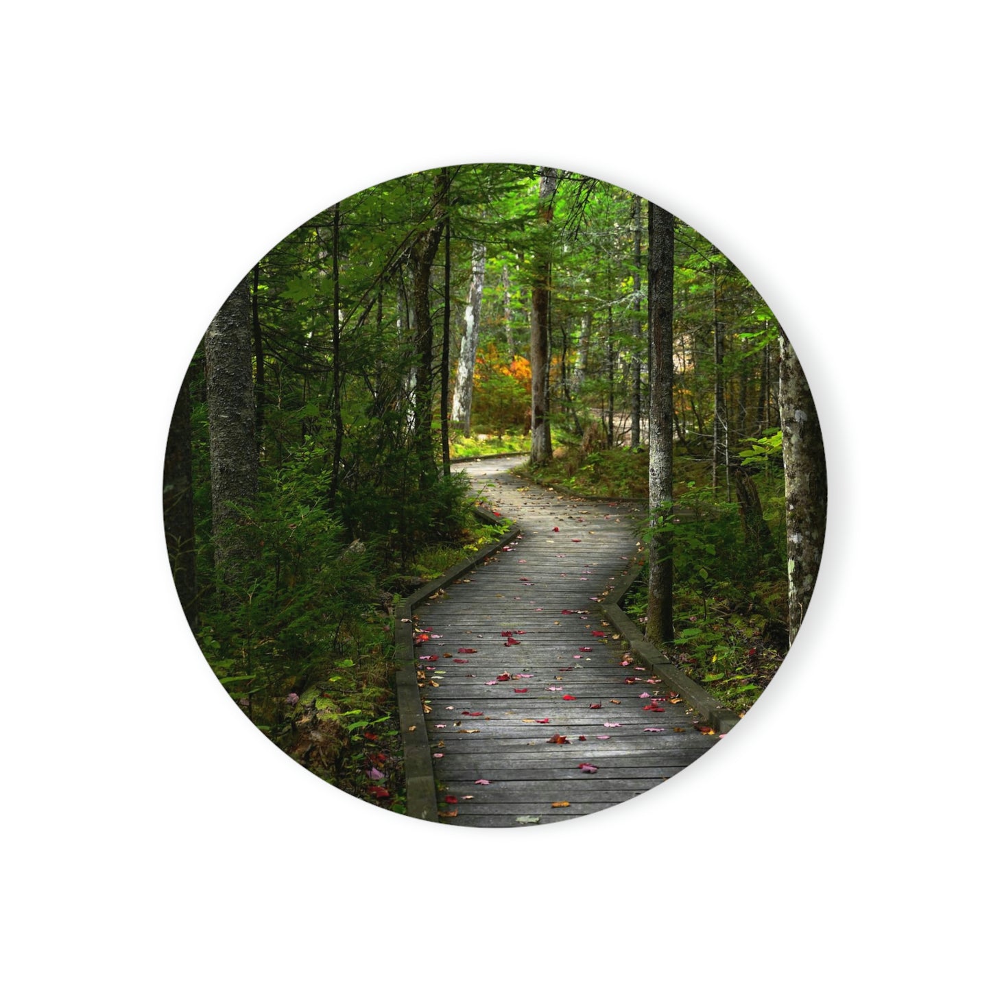 Cork Back Coaster - Woodland Boardwalk