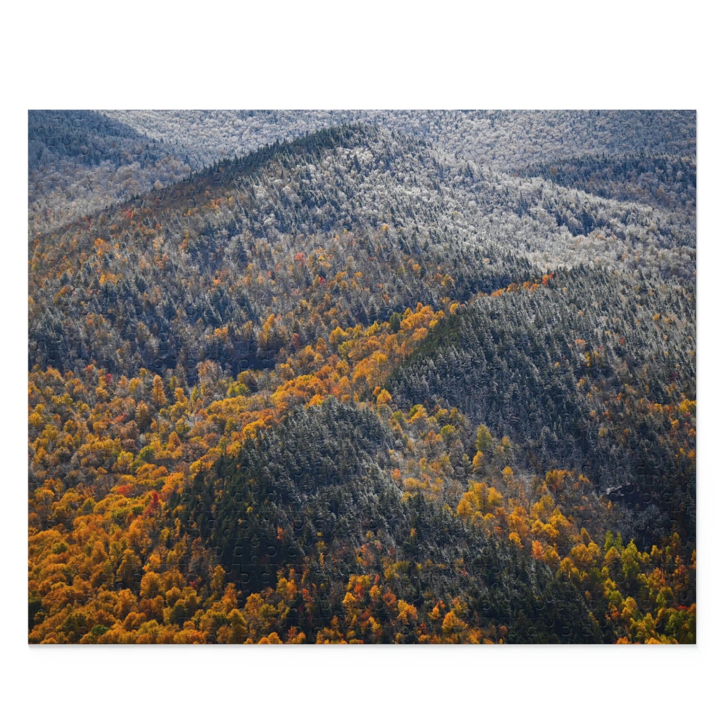 Puzzle - Seasons Collide
