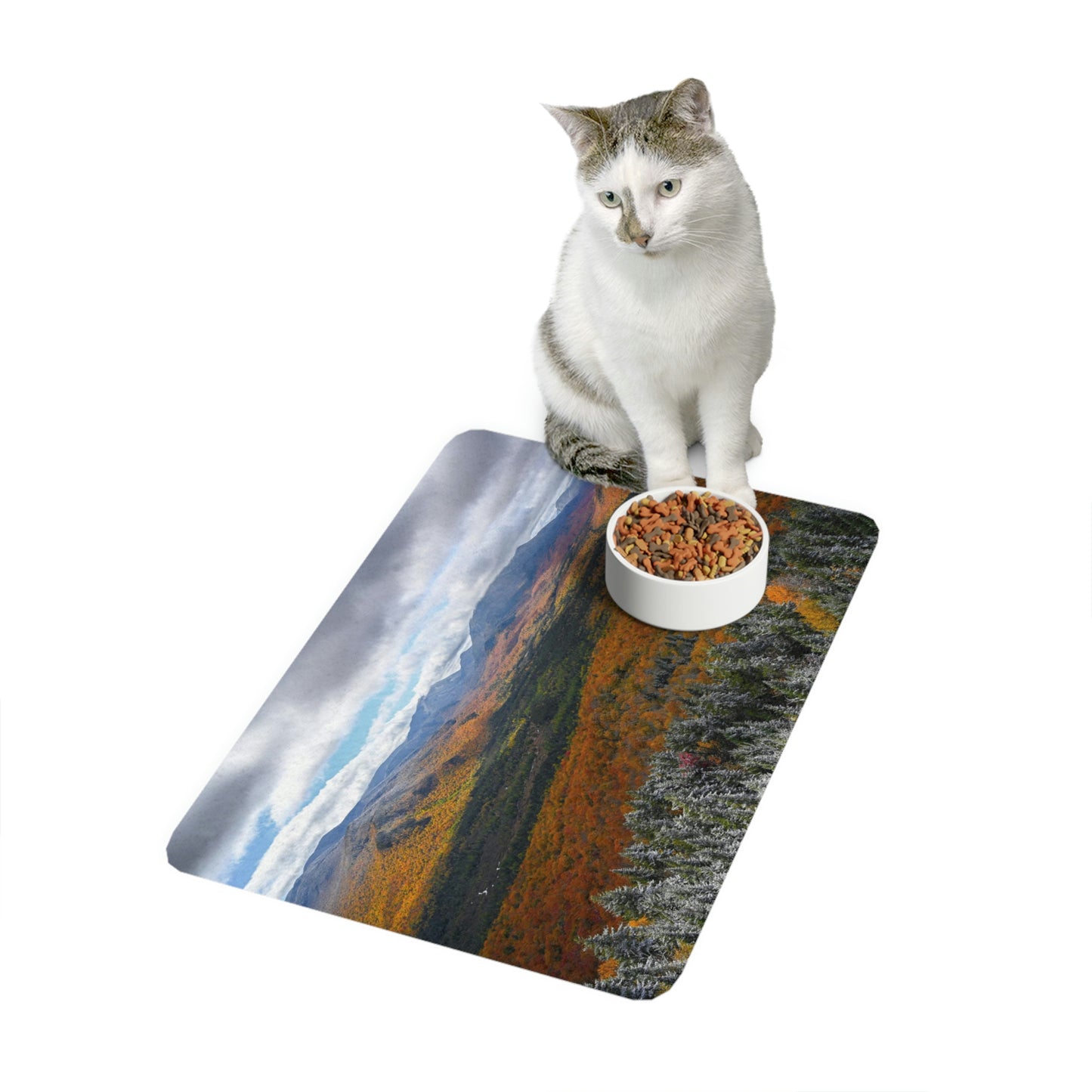 Pet Food Mat - Frosty Fall Day, Mt. Van Hoevenberg