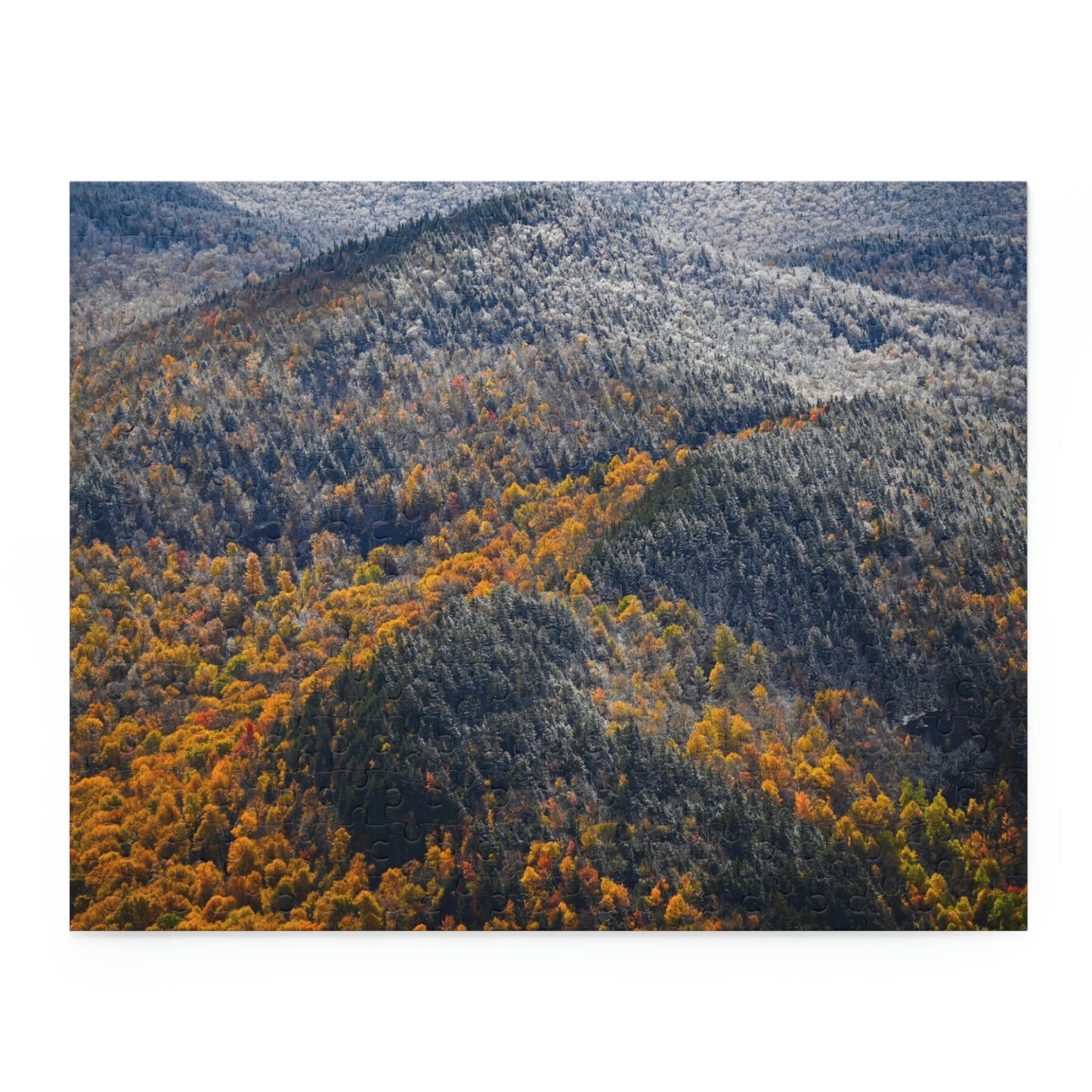 Puzzle - Seasons Collide