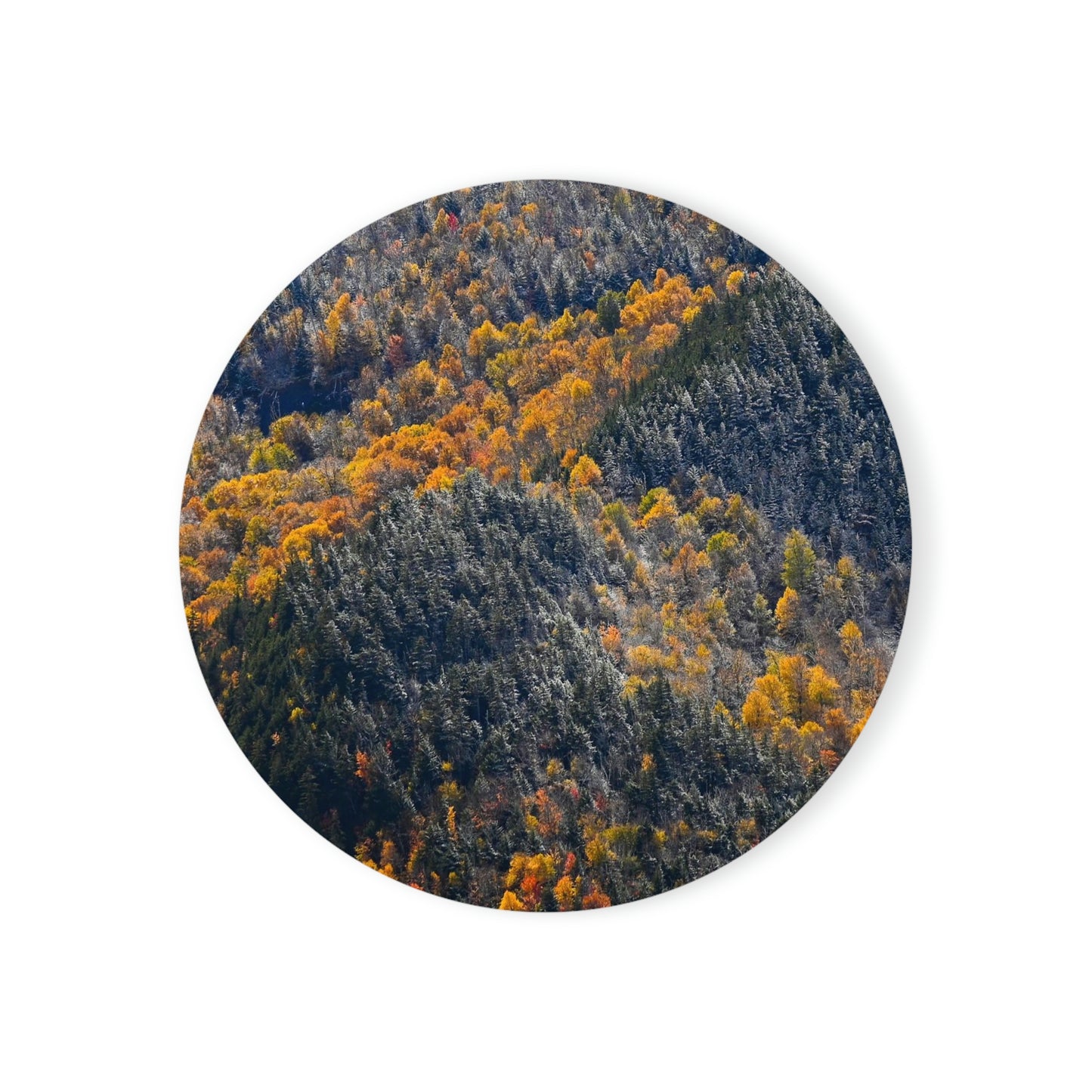 Cork Back Coaster - Seasons Collide
