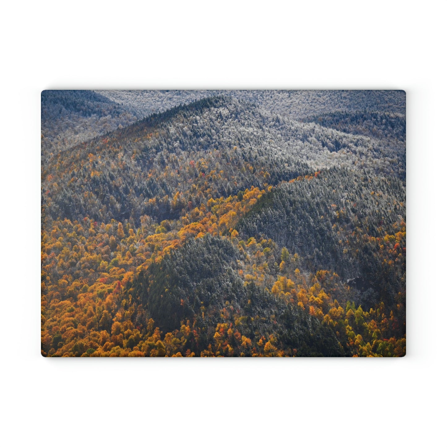 Glass Cutting Board - Seasons Collide