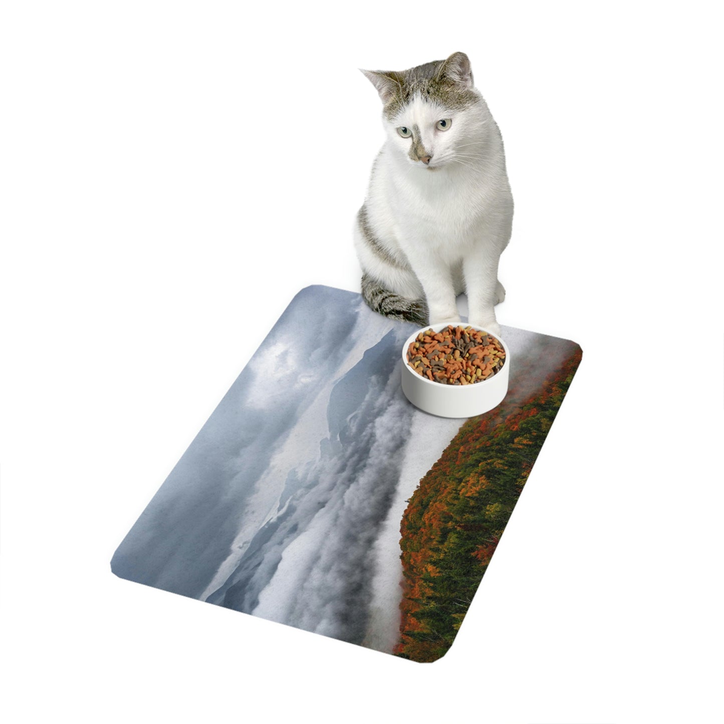 Pet Food Mat - Autumn Mood from Mt. Van Hoevenberg