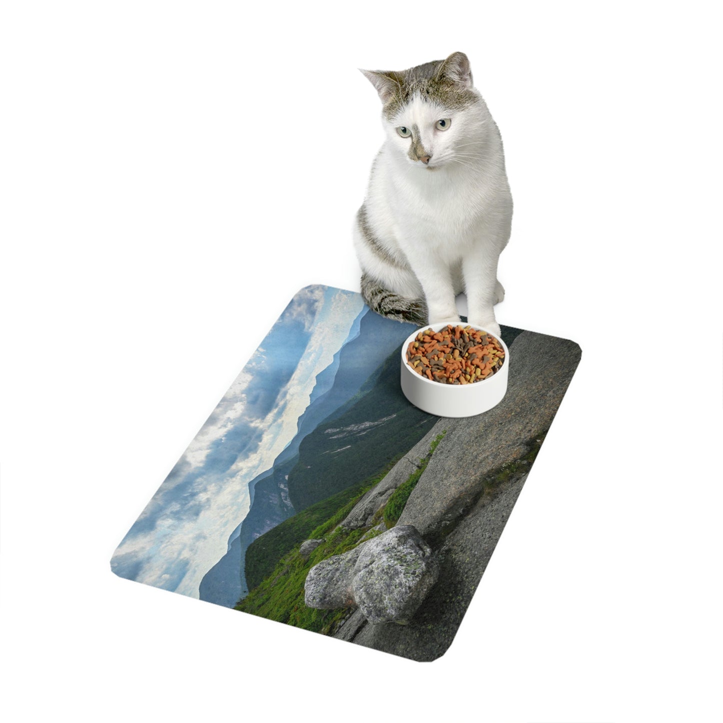 Pet Food Mat - Heart Shaped Rock on Gothics Mountain